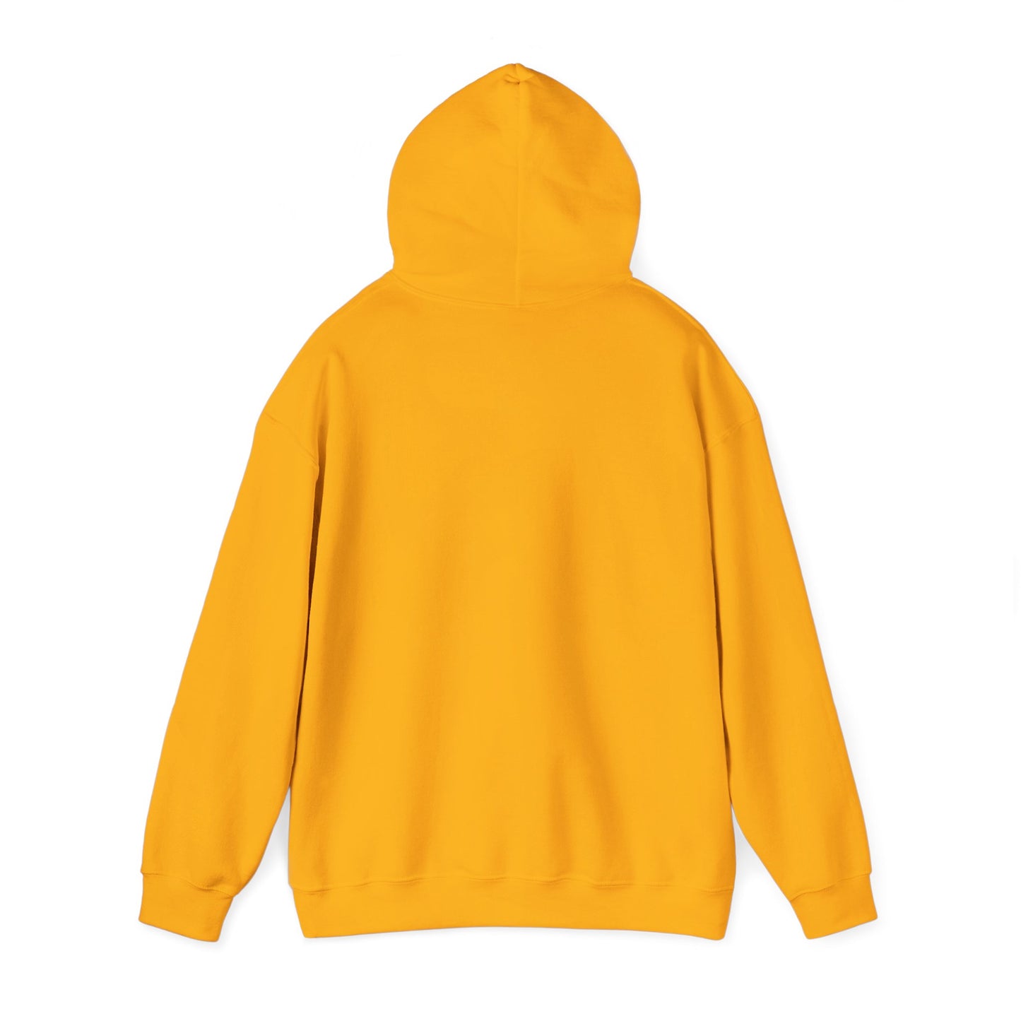 Alaska Nature Hoodie – Unisex Sweatshirt for Mountain & Glacier Explorers